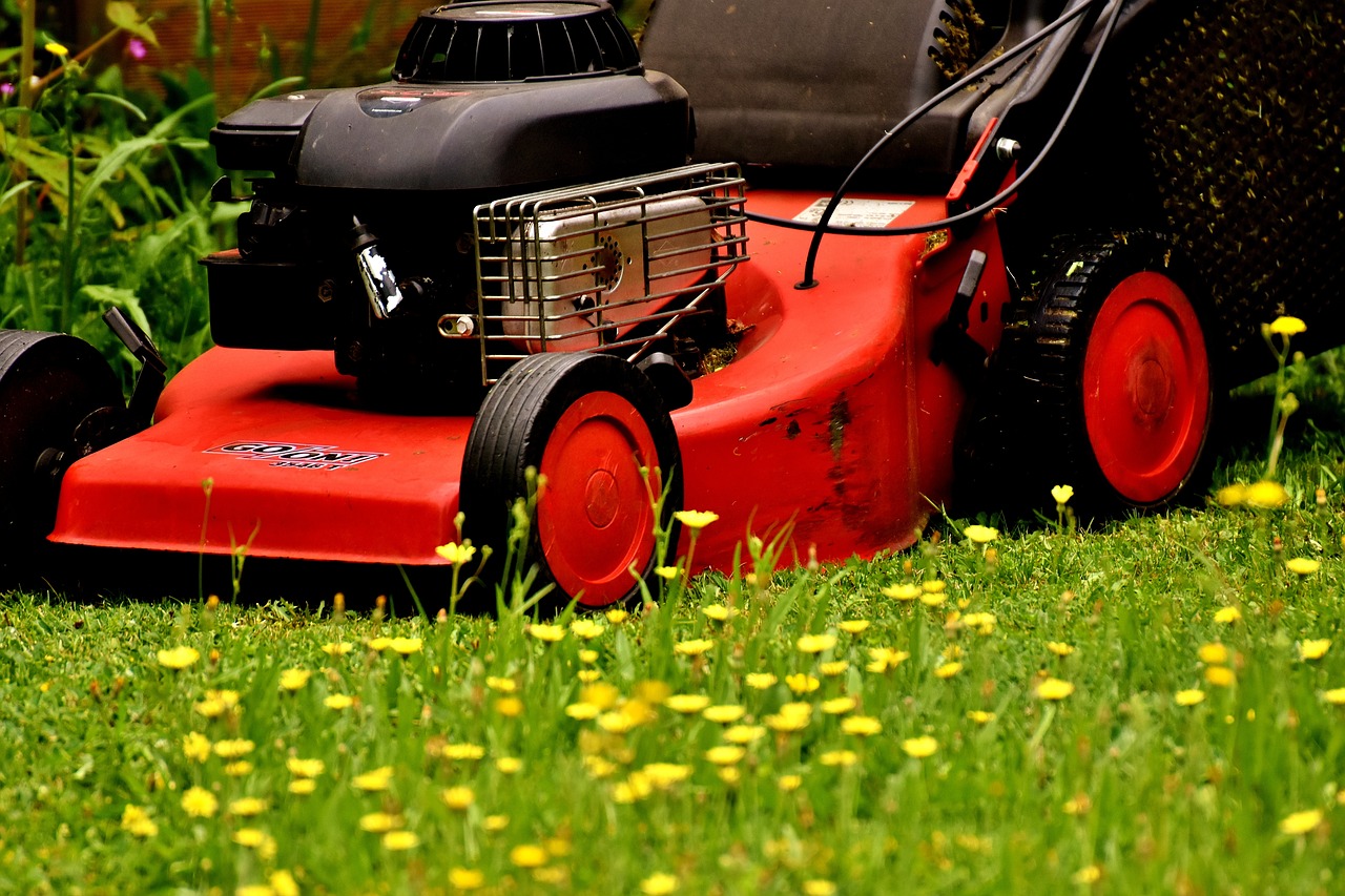 lawn mower, mow, cut the lawn-2430719.jpg